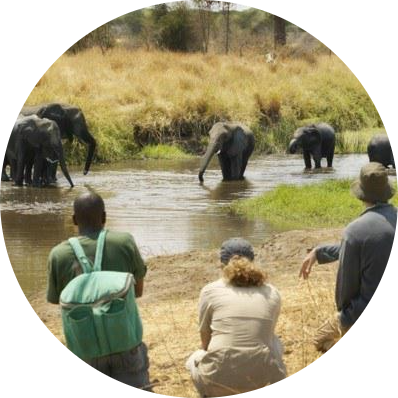 https://www.bicconsultants.xyz/wp-content/uploads/2022/07/Olivers-Camp-Walking-Safari-africa.png